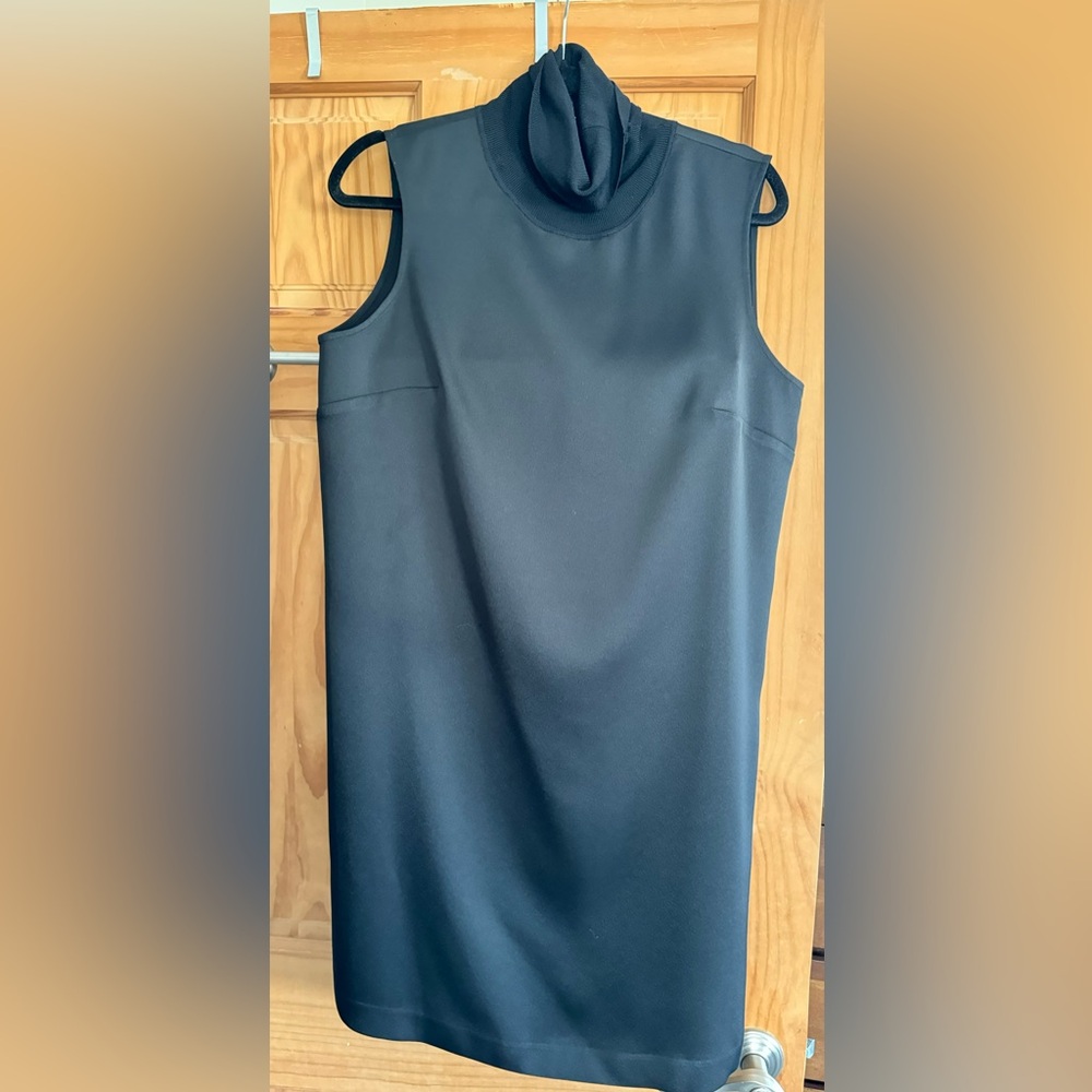 Club Monaco Dress